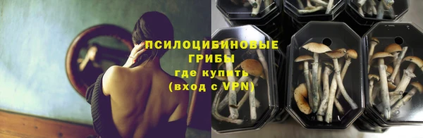 твердый Алзамай