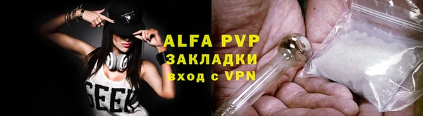 крисы Алексин