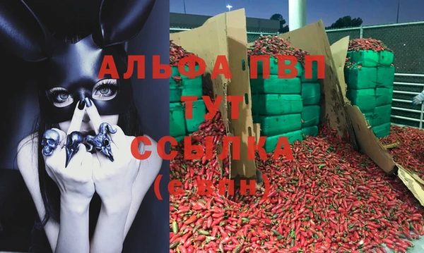 крисы Алексин
