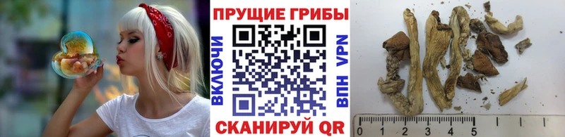 Галлюциногенные грибы мухоморы  Крым 